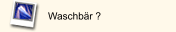 Waschbär ?